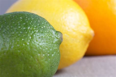 Different Citruses Fruits In A Row Close Up Stock Photo Image Of