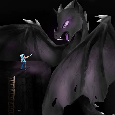 Images About Enderdragon On Pinterest