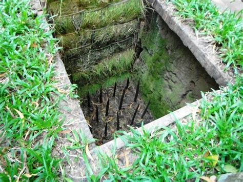20an Example Of A ‘bamboo Booby Trap Used By The Viet Cong Thought
