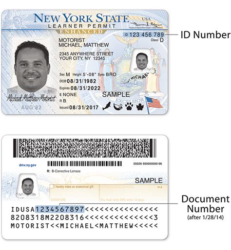 New York Dmv Get An Enhanced Driver License Edl Or Real Id
