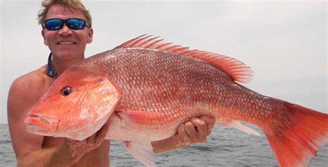 We did not find results for: Panama City Offshore Fishing Spots | Florida Fishing Maps ...