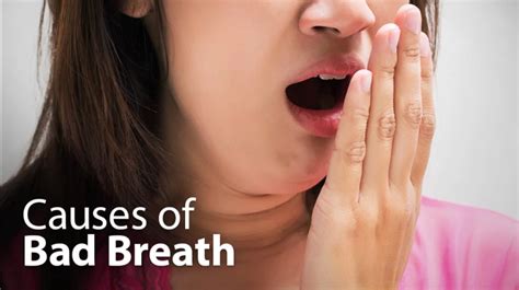 know the causes of bad breath springvale dental clinic blog