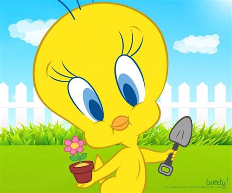Tweety Tweety Tweety Bird Quotes Looney Tunes Characters
