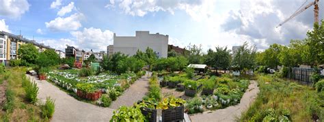 See more ideas about urban agriculture, agriculture. Carrot City - Prinzessinnengarten