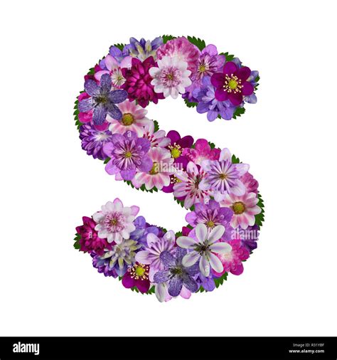 Flowers Alphabet Letter S Stock Photo Alamy