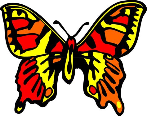 Cartoon butterfly illustrations & vectors. Cartoon Butterfly Pictures | Free download on ClipArtMag