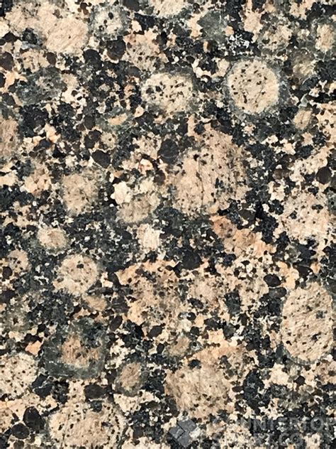 89 Off Your Perfect Granite Baltic Brown Countertop Remnant In San