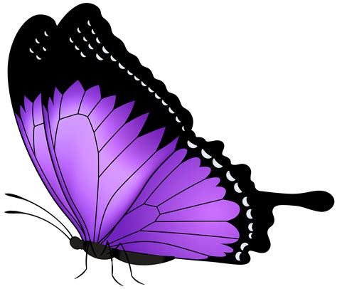 Clipart Butterfly Violet Clipart Butterfly Violet Transparent Free For