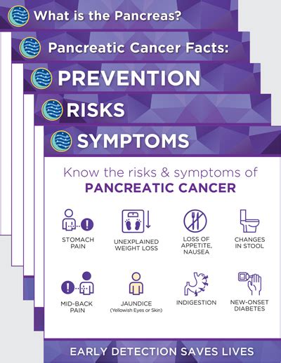 November Is Pancreatic Cancer Awareness Month Hirshberg Foundation