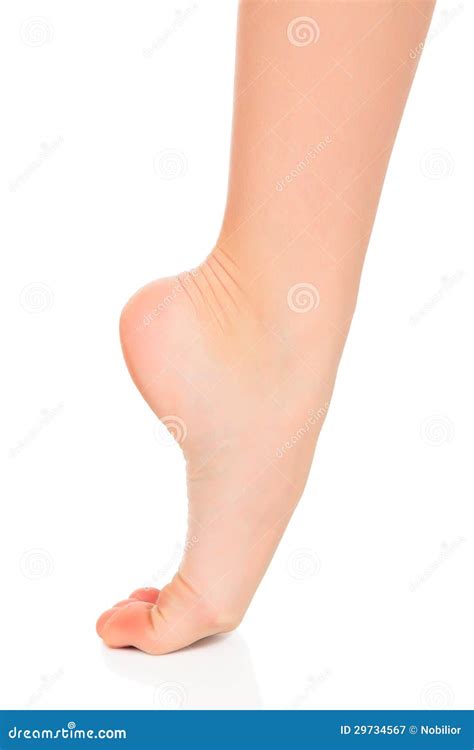 Female Foot Stock Image Image Of Barefoot Nature Feet 29734567