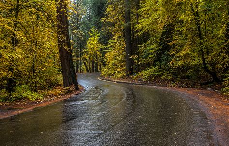 Fonds Decran Usa Parc Forêts Routes Automne Yosemite Arbres Nature