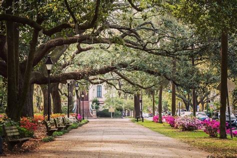 2022 Guide to Savannah: Things to Do, Shopping, Hotels, Events