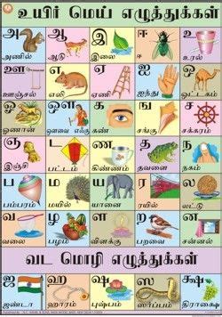 Free printable for kids toddlers preschoolers flash. Tamil Alphabet Chart | Alphabet charts, Alphabet, Alphabet ...