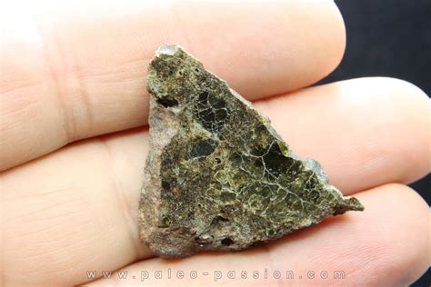 Meteorite Mesosiderite A34 Estherville
