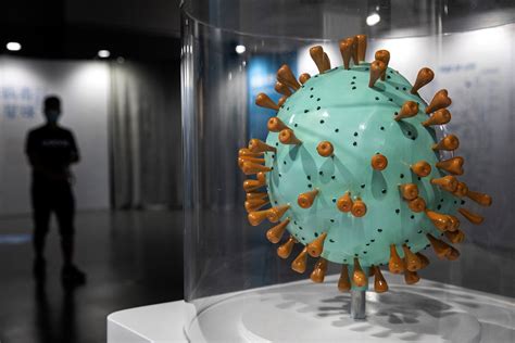 China Rejects Who Push For More Investigation Into Coronavirus Origins
