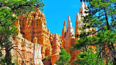 Bryce And Zion National Parks Tour From Las Vegas With Lunch