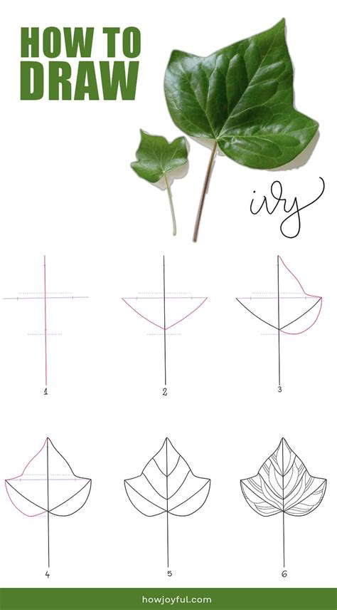 Drawing Leaves How To Draw Step By Step Doodle A Leaf