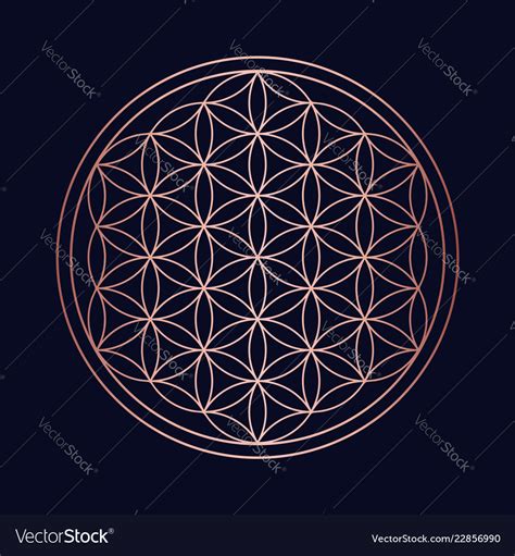Sacred Geometry Copper Mandala Circle Design Vector Image