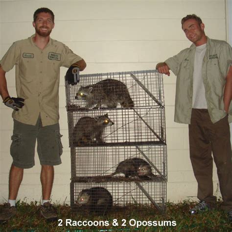 Imagine taking the annoyance, worry, and frustration completely out of your home life in chicago. Chicago Critter Removal and Control - About Us