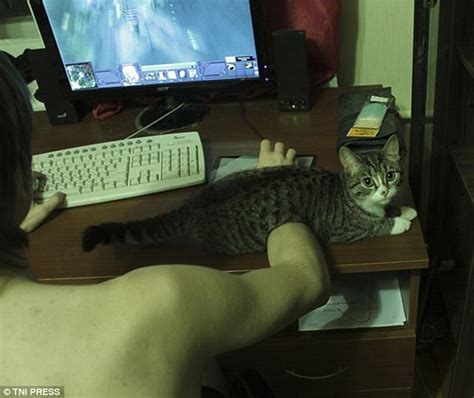 Pet Owners Share Hilarious Photos Of Their Clingy Cats Daily Mail Online