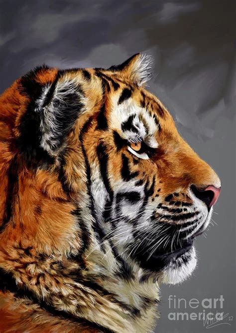 Tiger Digital Art By Art By Three Sarah Rebekah Rachel White Fine Art