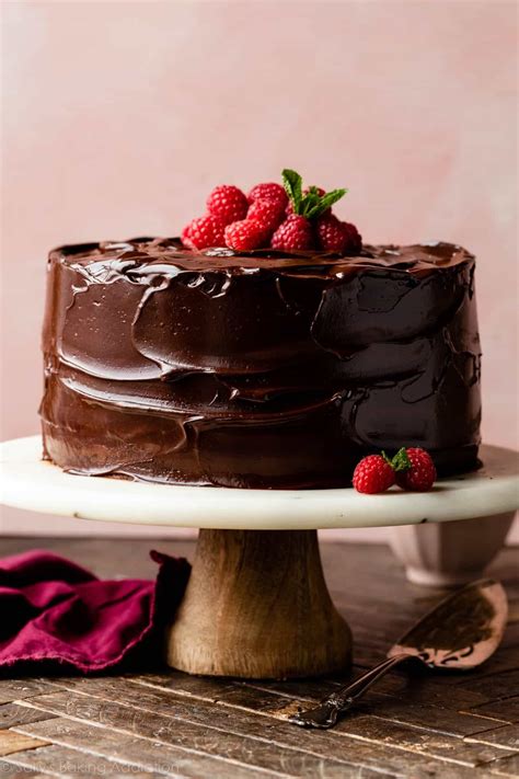 Chocolate Raspberry Cake Sallys Baking Addiction