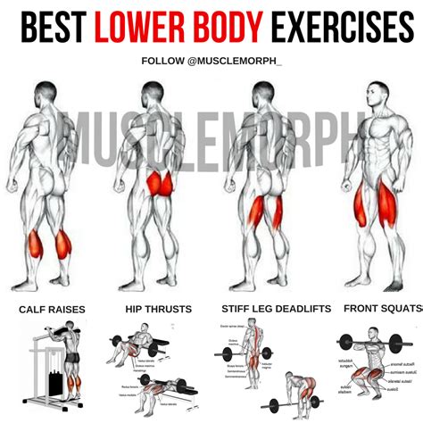 Leg Exercises For Each Muscle Hard Absworkoutroutine