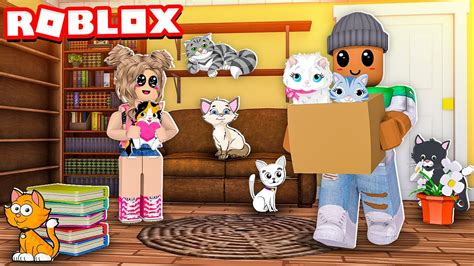 Roblox Find The Cats Youtube