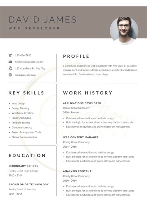 Cv Template Professional Modern Resume Template For Pages Word