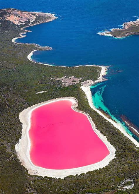 Lake Hillier Western Australia Beautiful Scenery