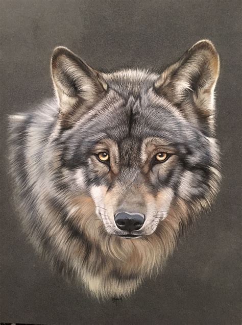 Loup Wolf Pastel Dog Drawing Wolf Painting Wolf Pictures