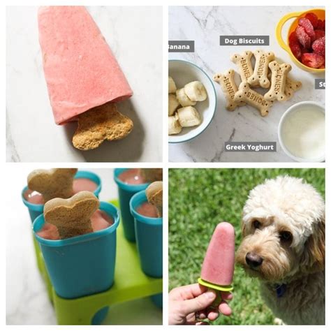 13 Diy Dog Popsicle Recipes For The Summer