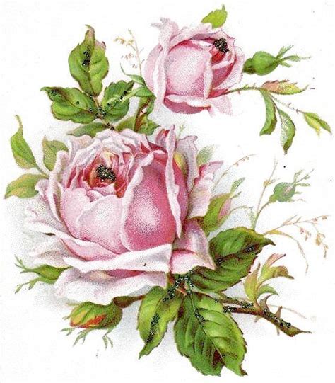 Imagini Pentru Vintager Rosa Rosen Blumenstrauß Postkarten Vintage