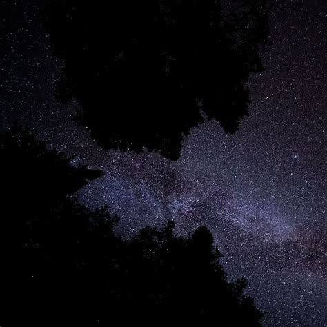 Download Wallpaper 3415x3415 Milky Way Stars Starry Sky Trees Night