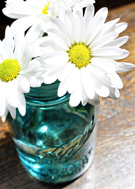 Learn how to grow your own probiotics in a jar. This item is unavailable | Etsy | Mason jar photo, Mason ...
