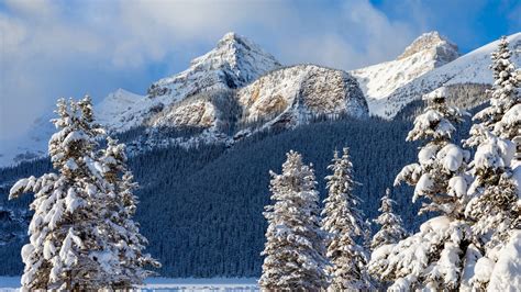 Banff National Park And Mountain Covered With Snow During Winter 4k 5k