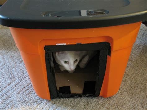 Insulated Cat House For Winter Diy ~ Learning Knowing