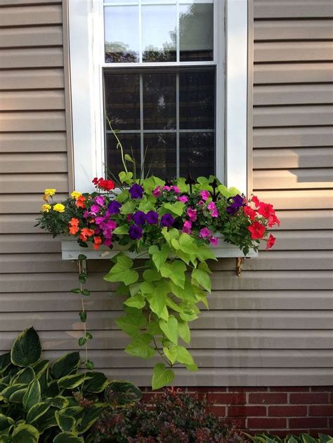 Cool 30 Awesome Flowering Window Boxes Ideas 30