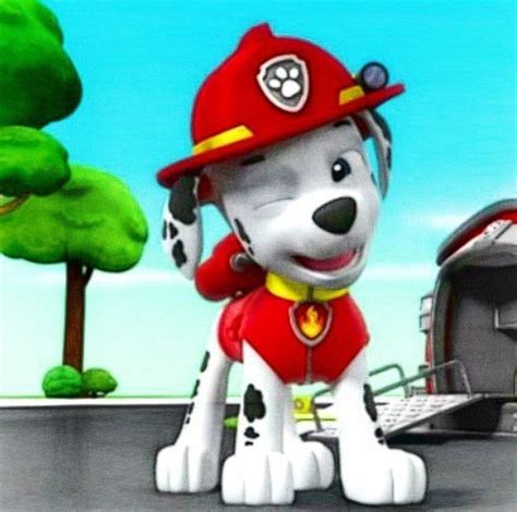 Paw Patrol Marshall Wallpapers Wallpaper Cave