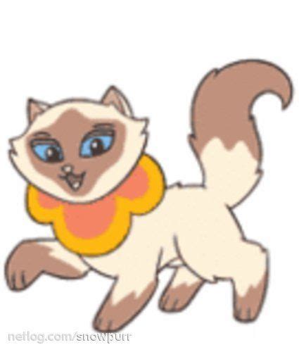 This Is Sagwa The Chinese Siamese Cat I Forgot About This Show Tammy