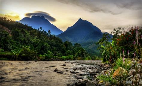 Sights And Sounds Of The Borneo Jungle With Norad Travel