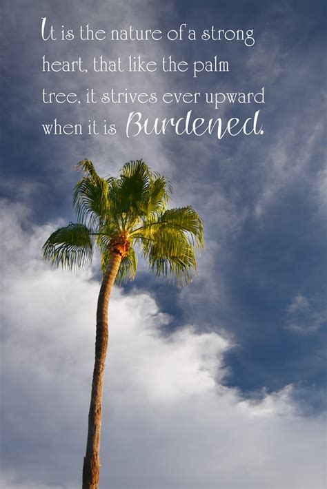 Palm Tree Quotes Quotesgram