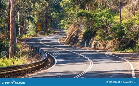 A Road Winding Through Forest Stock Image Image Of Bend Australia