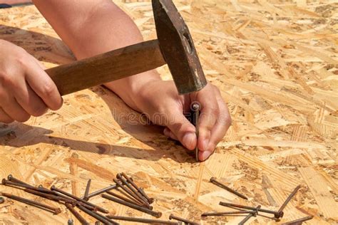 Mans Hammering Nails Into Plywood Surface Close Up Stock Image Image