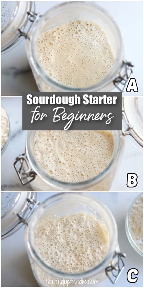 how to make easy sourdough starter for beginners