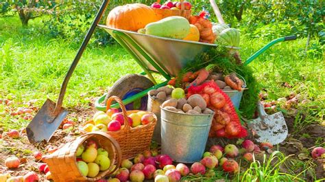 Fall Garden Crops 21 Fruits And Veggies Perfect To Grow This Season