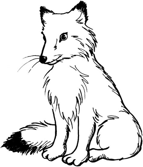 Coloriage Renard Roux dessin gratuit à imprimer