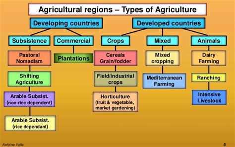Chart Of Agricultural Regionstypes Of Agriculture Types Of