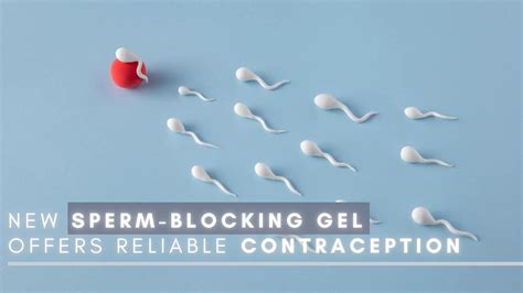 New Sperm Blocking Gel Offers Reliable Contraception An Alternative To