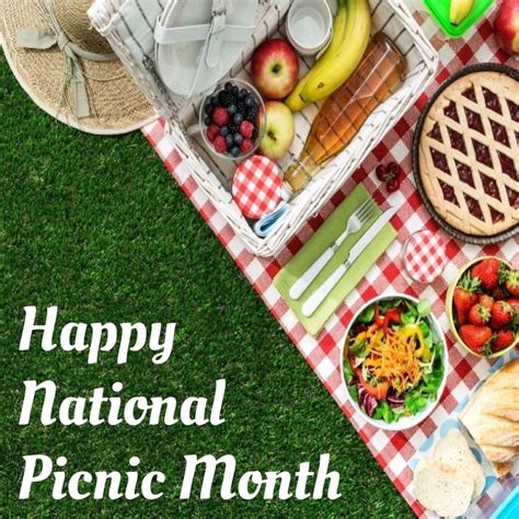 Copy Of National Picnic Month Instagram Post Postermywall